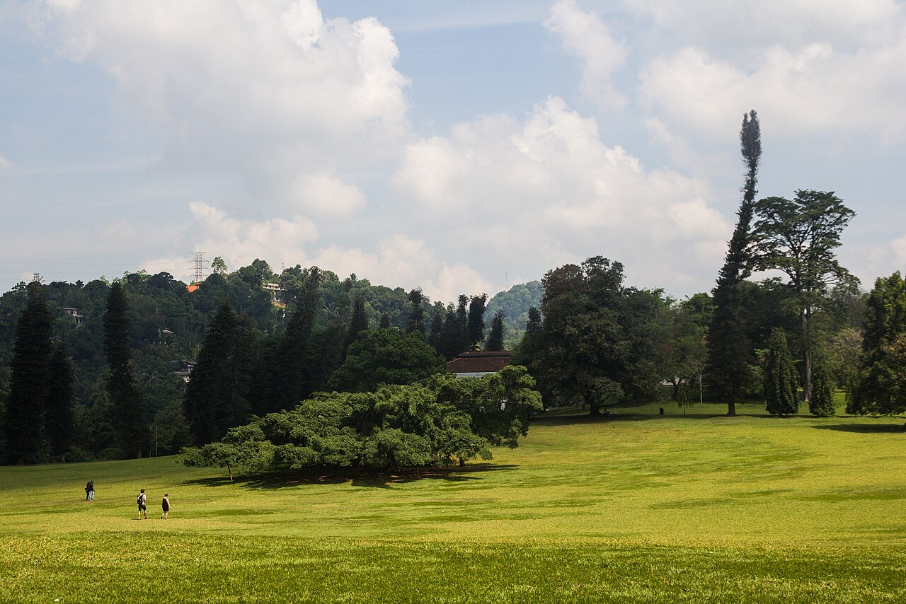 Royal Botanical Gardens, Peradeniya near Kandy