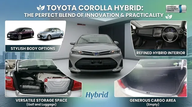 Аренда Toyota Axio на Шри-Ланке
